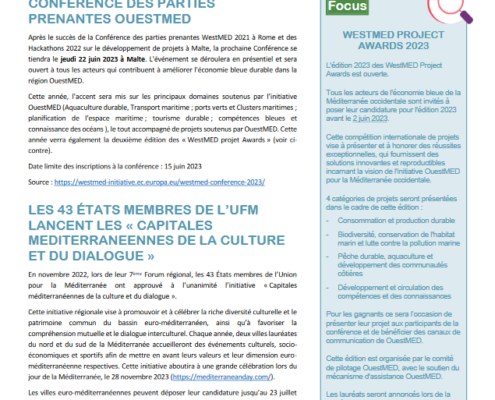 screenshot newsletter